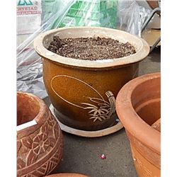 CLAY POT - LARGE - WITH DIRT