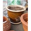 Image 1 : CLAY POT - LARGE - WITH DIRT