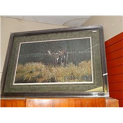 FRAMED  LIMITED EDTION PRINT -AUTUMN FORAGING  - MOOSE - GALLERY ESTIMATE - 825