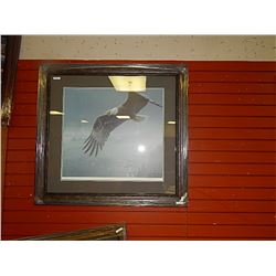FRAMED  LIMITED EDTION PRINT - ON THE WING - BALD EAGLE - ROBERT BATEMAN  - GALLERY ESTIMATE - 1375