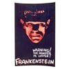 Image 1 : FRANKENSTEIN MOVIE POSTER PRINT - 11X17