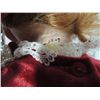 Image 5 : PRECIOUS HEIRLOOMS FAYZAH SPANOS KISSES DOLL