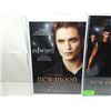 Image 2 : LOT 3 NEW MOON MOVIE POSTERS