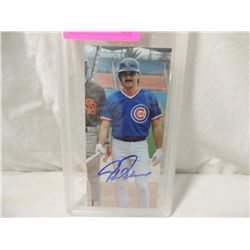 RAFAEL PALMEIRO AUTOGRAPHED PHOTO GRADED