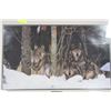 Image 1 : WOLF PACK FRAMED PICTURE