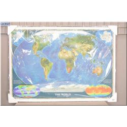 Lg Picture " Map of the World" ready to frame