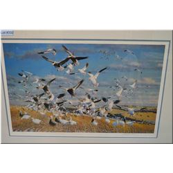 Canadian Gold  Snow Geese  Ltd Edition Print, # 786/950 by Artist Michael Sieve , 1988