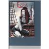 Image 1 : 5 small press Gn, TPB