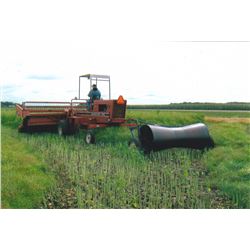 IHC model 4000 SP swather