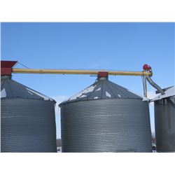 Cross auger top of two bins 7"x20ft