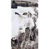 Image 2 : "The Command" Chief Koostata Schnitzmeyer This is