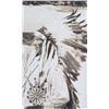 Image 3 : "The Command" Chief Koostata Schnitzmeyer This is