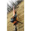 Image 1 : BATCO 1375 - 75' BELT GRAIN AUGER