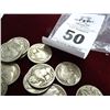 Image 2 : Buffalo Head Nickels 1920-1930