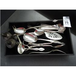 Sterling Shaker & Plate Utensils
