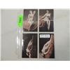 Image 1 : LOT 4 RARE 1947/56 EXHIBIT PIN-UPS