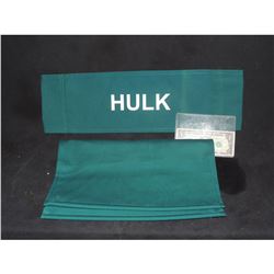 HULK BRUCE BANNER  ERIC BANA CHAIR BACK NO RESERVE!