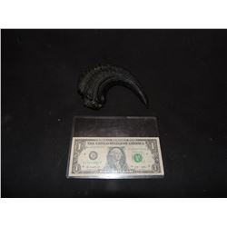 JURASSIC PARK VELOCERAPTOR CLAW CASTING NO RESERVE!