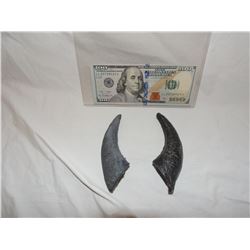 DEVIL DEMON ALIEN HORNS MATCHED SET