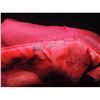 Image 2 : RED WEREWOLF HUNTER HERO RED RIDING HOOD CLOAK