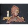 Image 1 : ZOMBIE MUMMY ROTTEN SEVERED HEAD