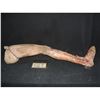 Image 1 : SEVERED FULL ARMATURED LEG