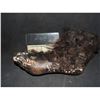 Image 1 : THE WOLFMAN TEST OR INSERT FOOT