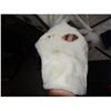 Image 4 : BUNNY EASTER COMPLETE MASCOT COSTUME WITH MASK AND GLOVES