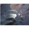 Image 3 : SPIDERMAN 3 WORLD PREMIERE BANNER SIGNED BY STAN LEE AND TOBEY MCQUIRE