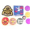 Image 3 : Lot of Vintage Military Pins Boy Scouts Badges Coins