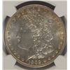 Image 2 : 1902 MORGAN DOLLAR NGC MS-64