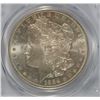 Image 2 : 1884-O MORGAN DOLLAR PCGS MS-64