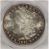 Image 2 : 1891 MORGAN SILVER DOLLAR, PCGS MS-65 GEM SUPER RARE! BLAST WHITE WITH RIM COLOR