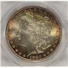 Image 2 : 1880 MORGAN SILVER DOLLAR, PCGS MS-66 SUPERB WHITE WITH RIM COLOR!