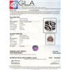 Image 7 : 18KT White Gold 3.72 ctw Diamond Ring