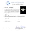 Image 7 : 14KT White Gold 1.24 ctw Diamond Ring