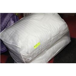 TWO NEW PILLOWS