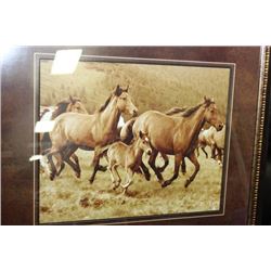 BORN FREE FRAMED HORSE PRINT,  25x31