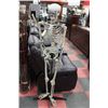 Image 1 : LARGE HALLOWEEN SKELETON ON STAND
