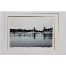 FRAMED ALICIA SOAVE PICTURE "RIVER SHADOWS I"