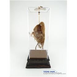 Disney Disneyland JUNGLE CRUISE Attraction Trader Sam Shrunken Zombie Head Actual Ride Prop