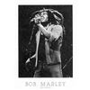 Image 1 : Kuo Hsiung : Bob Marley