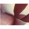 Image 2 : Large Flower Abstract Modern Flower Art Print