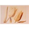 Image 4 : Set of 6 Flower Toned Photo Prints- Rose Tulip Orchid