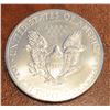 Image 1 : 1993 $1 Eagle (1oz Fine Silver) BUNC