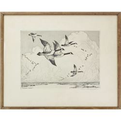 Pencil signed etching print "Canadian Geese"