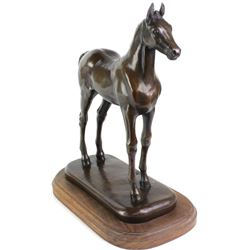 "Sun Mountain Colt" bronze