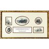 Image 1 : Framed American Bank Note Co examples