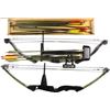 Image 1 : Collection of 3 includes 2 compound bows, one