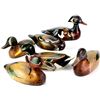 Image 1 : Collection of 6 wood duck decoys includes